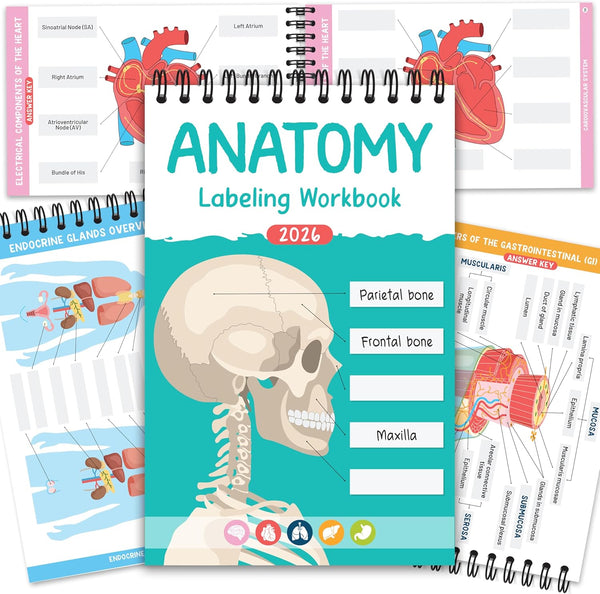 Bloomost Anatomy Labeling Workbook Dry Erase - Reusable 198-Page Human Anatomy Label Book for Nursing & Medical Students - Body Systems Study Guide with Answer Keys